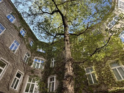 Charmantes City-Apartment in Toplage des 3. Bezirks