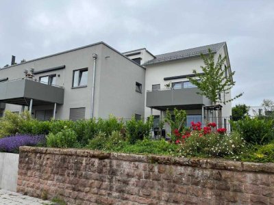 Schöne 3-Zimmer-Wohnung in Dansenberg