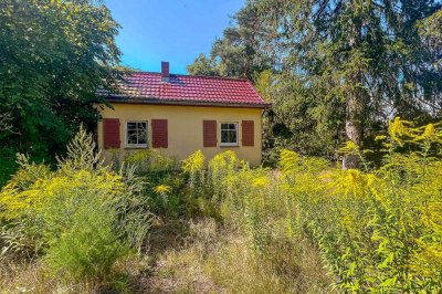 Wo die Seele baumelt: Traumgrundstück mit charmantem Haus in Schulzendorf