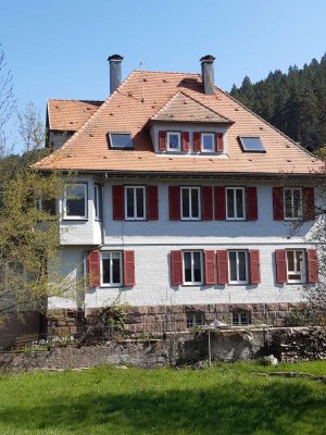 Gemütliche 3- Zimmer- DachgeschosswohnungWohnung in Baiersbronn- Klosterreichenbach