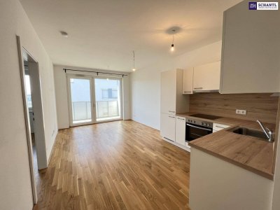 Modern, hell &amp; mit Terrasse – 2-Zimmer-Highlight in der Gymseldorfergasse 48A