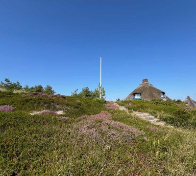 Reetdachhaus mit Weitblick bis zum Leuchtturm