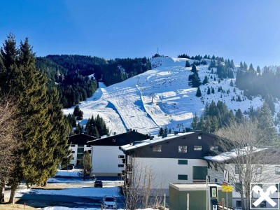 Ferienwohnung mit Blick auf die Skipiste im Hinterthal