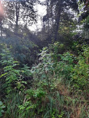 Klein aber fein... ab in die eigenen vier Wände :-)