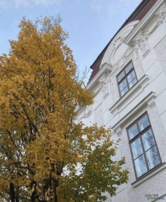 Helle hübsche renovierte 2 Zimmer Wohnung