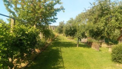 SANIERTES EINFAMILIENHAUS IN ABSOLUTER RUHELAGE