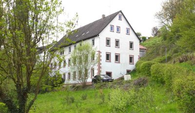 Historische Mühle mit großem eigenem Waldstück - Raum zum Gestalten ohne Denkmalschutz