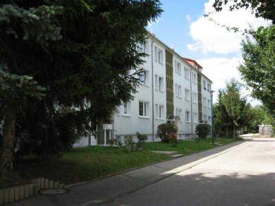 Komfortables Wohnen im Erdgeschoss- Stellplatz-Flemminger Weg 63 Naumburg (Saale)