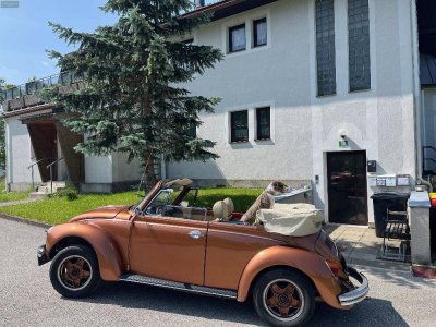 MARIAZELLER LAND - ST. SEBASTIAN - Wohnung mit netter "Erkerküche", drei Schlafzimmer und Parkplatz!