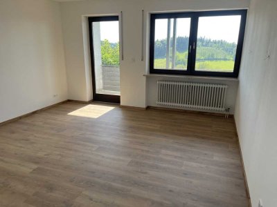 Neu renovierte 3 Zimmer Wohnung mit großen Balkon  in Waldkirchen zu vermieten