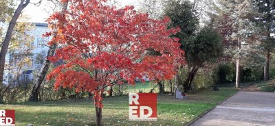 Helle RÄUME im Grünen