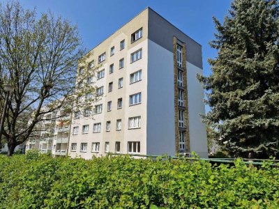 Große 3-Raum Wohnung mit viel Platz für die ganze Familie!