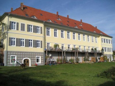 Ansprechende und vollständig renovierte 2-Zimmer-Dachgeschosswohnung in Kirchheimbolanden