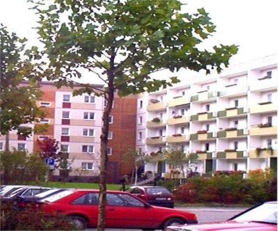 Wohnungsangebot Lerchenwuhne 175