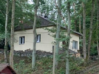Einzigartig Wohnen in einer Parklandschaft / Stadtnah / freistehend
