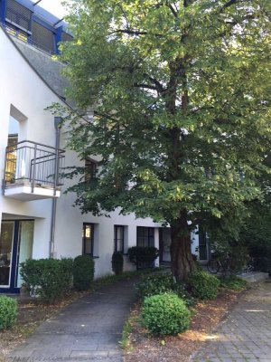Nymphenburg, Arnulfstraße, Nähe Romanplatz: Helle 3-Zi.-Wohnung mit Terrasse und Gartenanteil