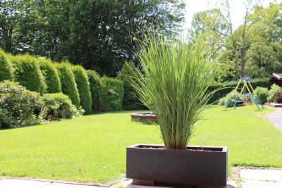 Gartenliebhaber gesucht - fast ein ganzes Haus mit einem Garten wie im Urlaub
