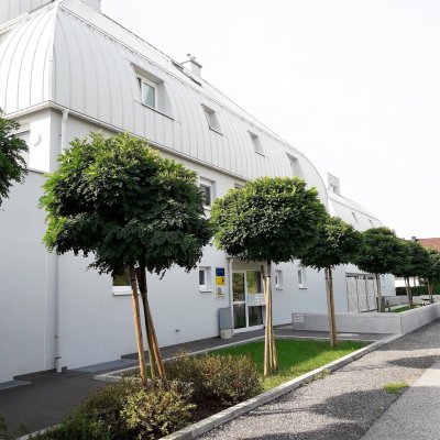 2 Zimmer & Garten - Wohnzuschuss möglich