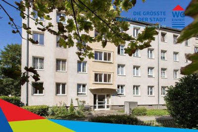 Altchemnitz: Zentrumsnah und grün