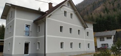 1-Zimmer Wohnung mit Parkplatz und Garten zur Mitbenützung