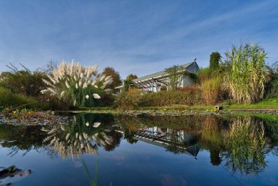 Auszeit - Leben am Land in absoluter Ruhelage - Bungalow mit Gäste- und Bürotrakt sowie eigenem Weinkeller, Sauna/ Pool und weiteren Ländereien!