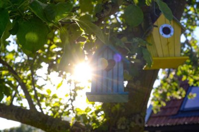 Sozial bauen leicht gemacht: Hausbau ab 10 % Eigenkapital möglich