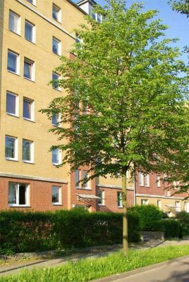 Tolle Wohnung mit Terrasse - neues Laminat bei Einzug