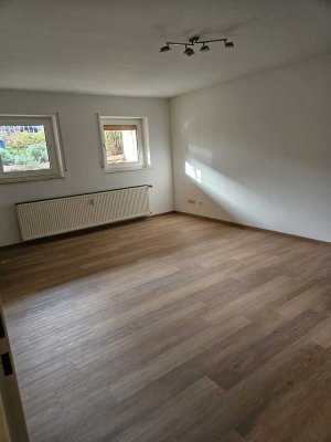 Helle 1-Zimmer Wohnung im Souterrain in Bad Homburg
