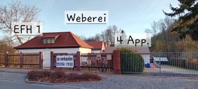 Biete Immobilienpaket mit 2 EFH, 4 Appartm., Lagerhalle und Garagen