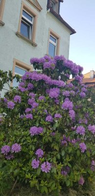 Große und hellere 4-RW mit Garten