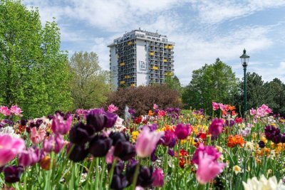 Traumlage - Serviced Apartment am Kurpark Oberlaa