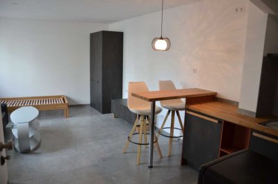 vermiete 1-Zimmer Apartment an Student / Wochenendpendler