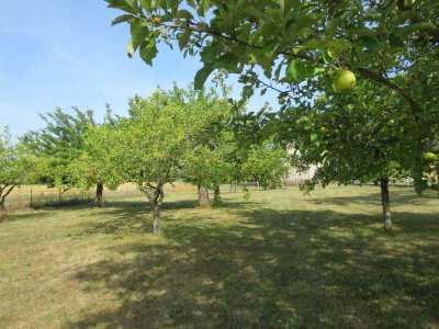 Ruhig gelegener Vierseitenhof - für Selbstversorger geeignet mit viel Potenzial