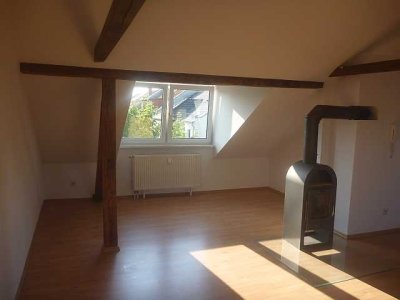 Grosszügige Single-Wohnung mit Kamin und Einbauküche