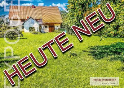 Ganz nah draußen im Grünen