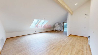 Dachgeschosswohnung mit 4,20m Deckenhöhe + großer Dachterrasse und Blick ins Grüne