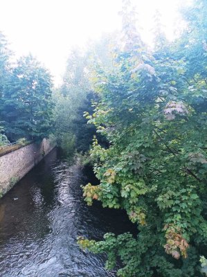 Leben am Fluss - Schöne 3-Zimmer Altbauwohnung direkt an der Sieg  im 2. OG in Siegen