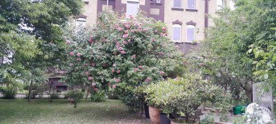 Frischrenovierte 2,5-Raum-Wohnung