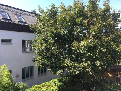 Moderne 3 Zimmerwohnung nähe Schloss Hetzendorf ruhe Lage Terrasse +Stellplatz