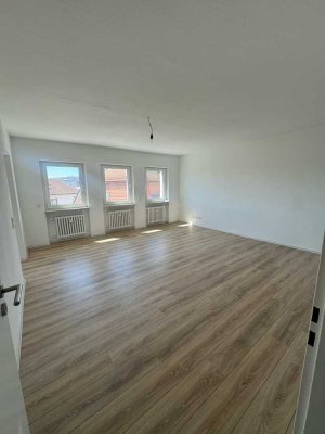 Wunderschön sanierte 3 Zimmerwohnung zentral in Bürstadt