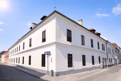 Top 2-Zimmer Altbauwohnung im Herzen von Wr.Neustadt