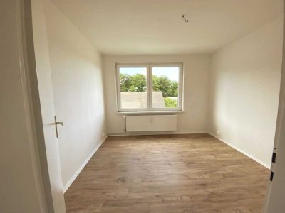 Renovierte 2-Zimmerwohnung im grünen Herzberg