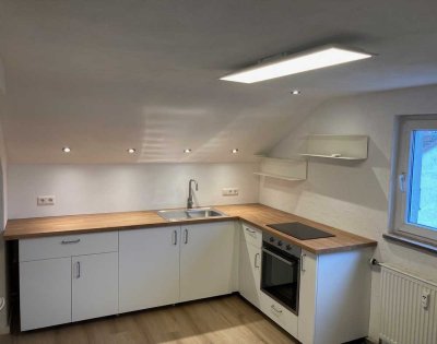 Neu renovierte 1 Zimmerwohnung in Mosbach