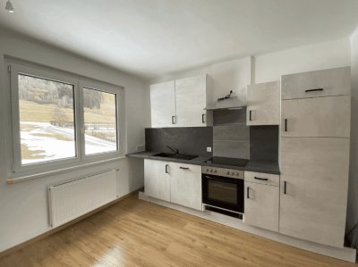 Helle und moderne 4-Zimmer Wohnung mit Balkon in Aflenz Zentrum (WG geeignet)