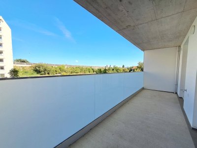 WEINZIERL XIII B - 18