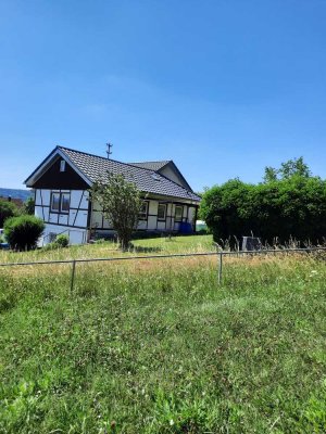 Ruhig. Grün. Direkt am Waldrand – barrierefreie 2-Zimmer-Wohnung mit Gartennutzung