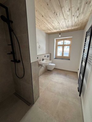Schöne 2-Raum-Wohnung mit lux. Innenausstattung in Falkenstein