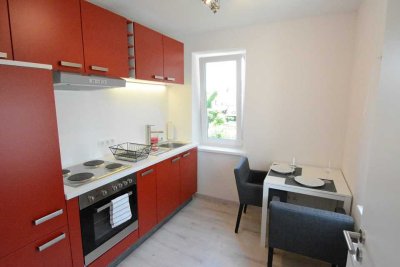 Helle 2 Zi. Whg, Nähe Universität(TUM), NEUFAHRN (S 1), vollständig möbliert/fully furnished,