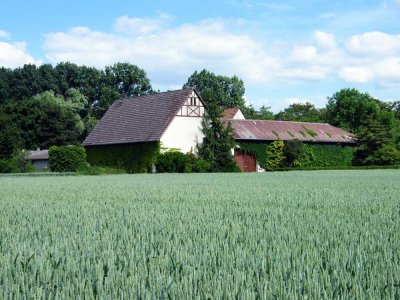 Historisches landwirtschaftliches Anwesen mit viel Potenzial & in herrlicher Pfungstädter Außenlage