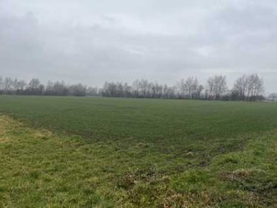 Resthof mit anliegender landwirtschaftlicher Fläche
